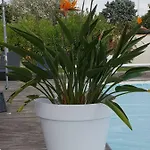 Logement Ensoleille Διαμέρισμα Cardet